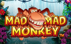 mad mad monkey