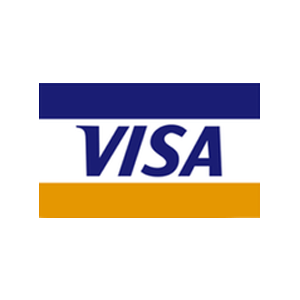 Visa Casinos Online