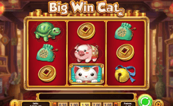 big win cat