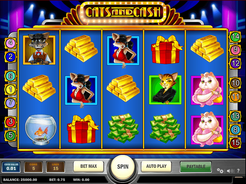 Cats & Cash