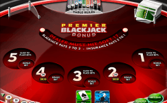 premier blackjack multi hand euro bonus gold