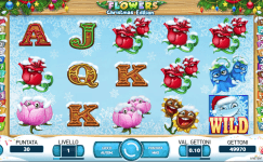 Flowers Christmas Edition