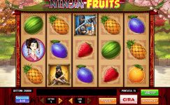 ninja fruits slot machine gratis senza scaricare